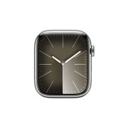 Watch Series 9 Steel Cellular (45mm), Silver, Silver Milanese Loop